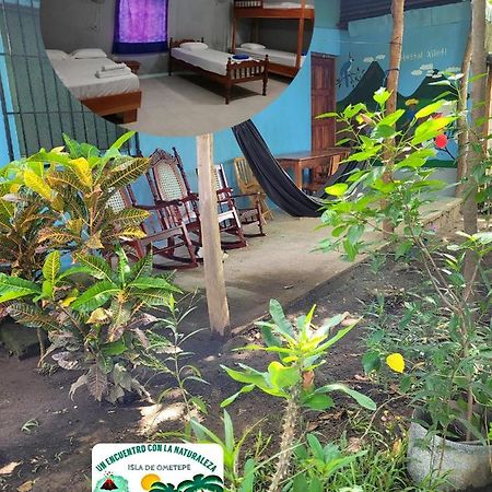 San José del Sur Hostal Xilotl מראה חיצוני תמונה